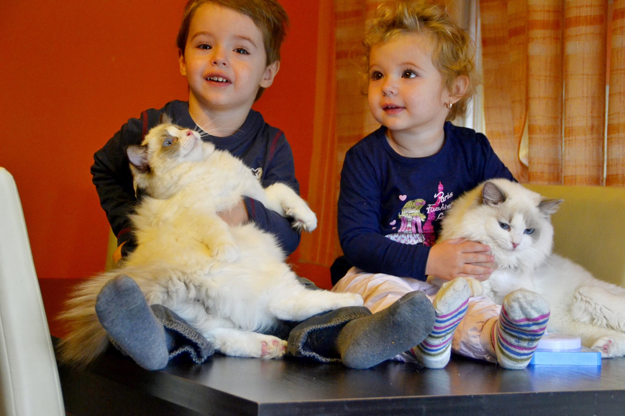 /images/Galeria/Cicák-gyerekek (Cats&Chirldren)/13909211_285122331855468_7117085728620258135_o.jpg